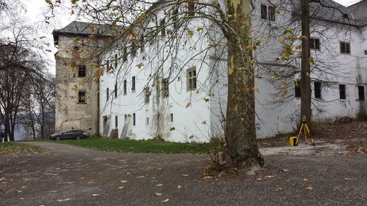 image_14.jpg
